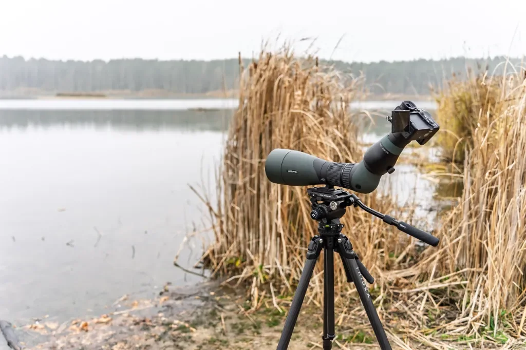 Digiscoping