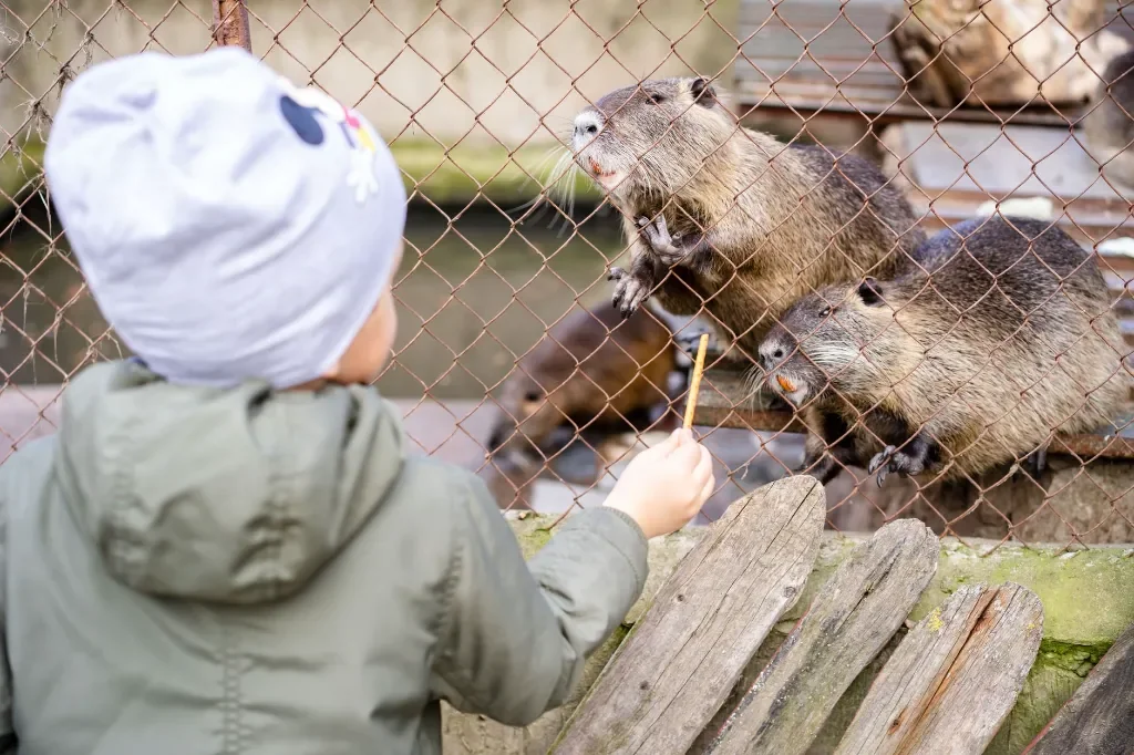 Jakie zwierzęta egzotyczne można zobaczyć w ZOO w okolicach Łodzi